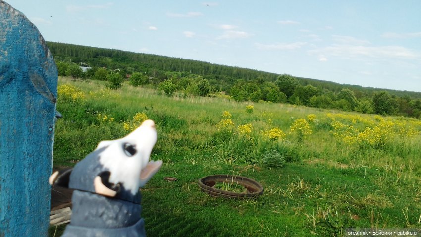 Опоссум в стране чудес — Интересные игрушки и фигурки (разное): редкие (фото 5)