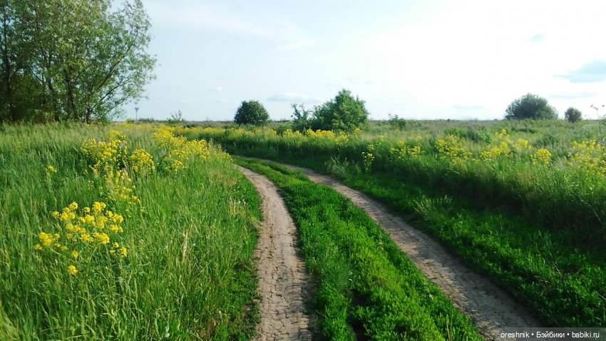 Опоссум в стране чудес — Интересные игрушки и фигурки (разное): редкие