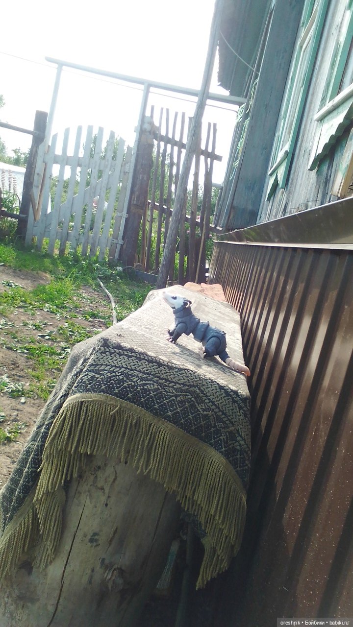 Опоссум в стране чудес — Интересные игрушки и фигурки (разное): редкие