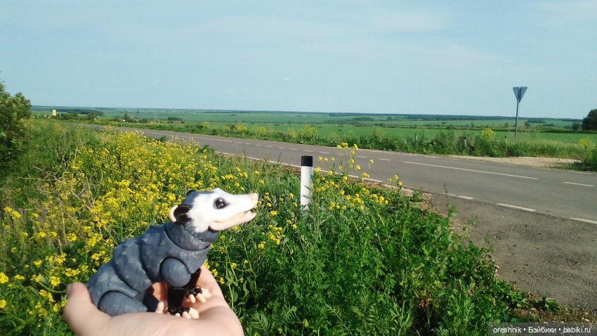 Опоссум в стране чудес — Интересные игрушки и фигурки (разное): редкие