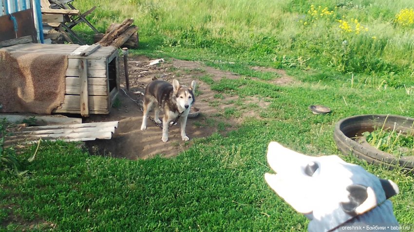 Опоссум в стране чудес — Интересные игрушки и фигурки (разное): редкие (фото 10)