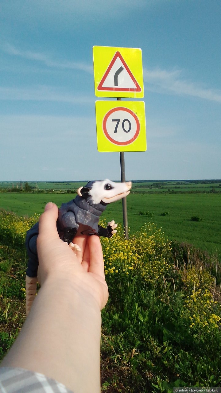 Опоссум в стране чудес — Интересные игрушки и фигурки (разное): редкие