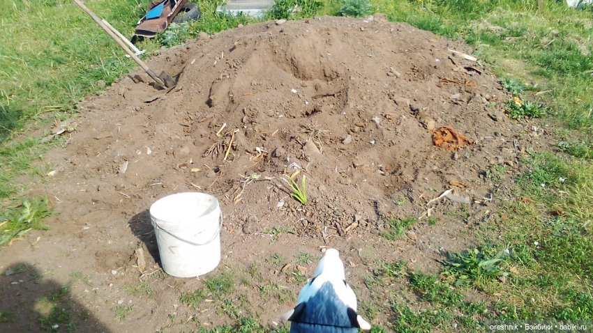 Опоссум в стране чудес — Интересные игрушки и фигурки (разное): редкие