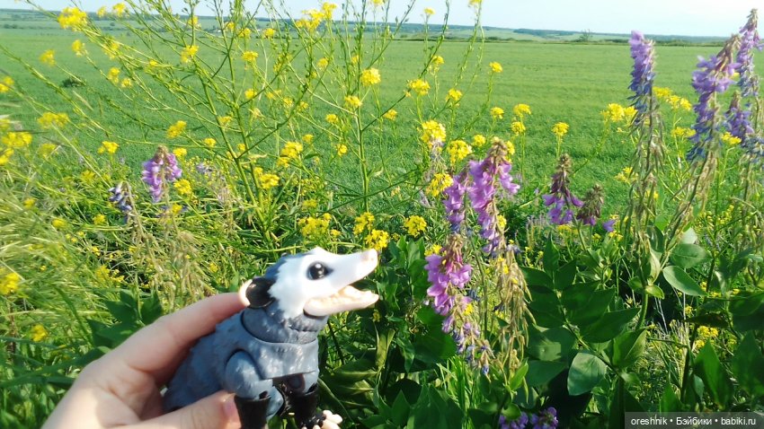 Опоссум в стране чудес — Интересные игрушки и фигурки (разное): редкие