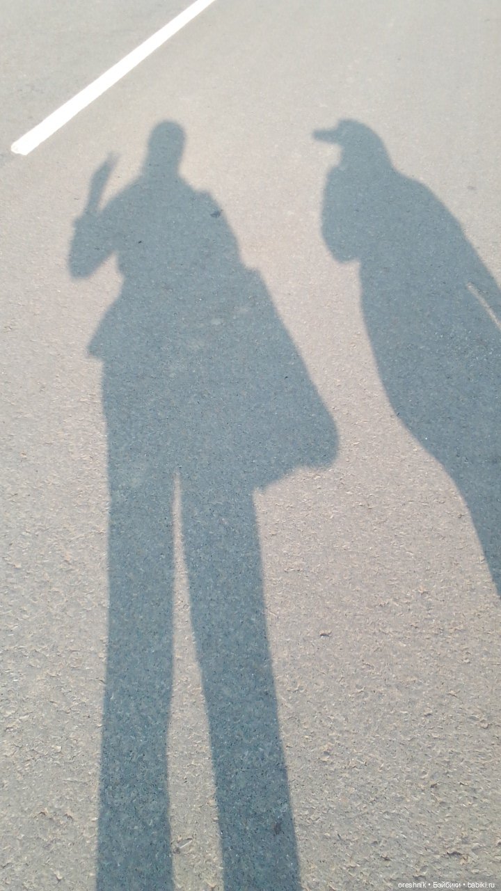 Опоссум в стране чудес — Интересные игрушки и фигурки (разное): редкие