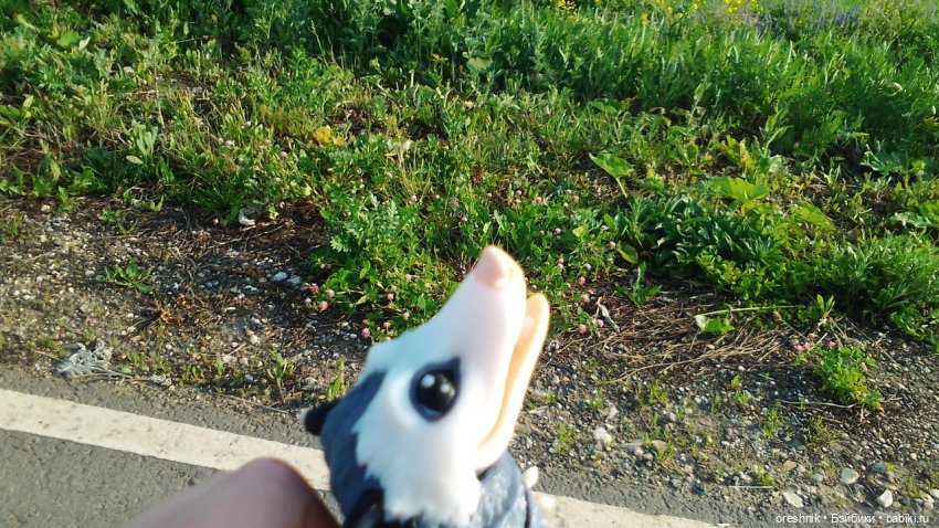 Опоссум в стране чудес — Интересные игрушки и фигурки (разное): редкие