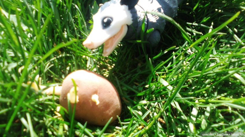 Летний Опоссум☀️☀️☀️ | Бэйбики Летний Опоссум☀️☀️☀️ — Интересные игрушки и фигурки (разное): редкие (фото 2)