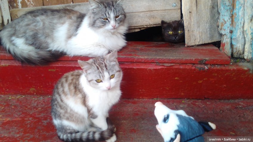 Летний Опоссум☀️☀️☀️ | Бэйбики Летний Опоссум☀️☀️☀️ — Интересные игрушки и фигурки (разное): редкие