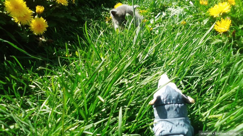 Летний Опоссум☀️☀️☀️ | Бэйбики Летний Опоссум☀️☀️☀️ — Интересные игрушки и фигурки (разное): редкие (фото 7)