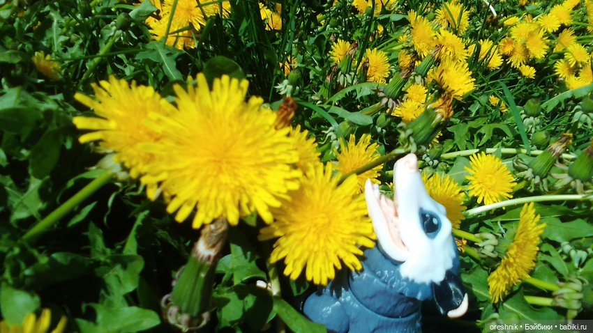 Летний Опоссум☀️☀️☀️ | Бэйбики Летний Опоссум☀️☀️☀️ — Интересные игрушки и фигурки (разное): редкие