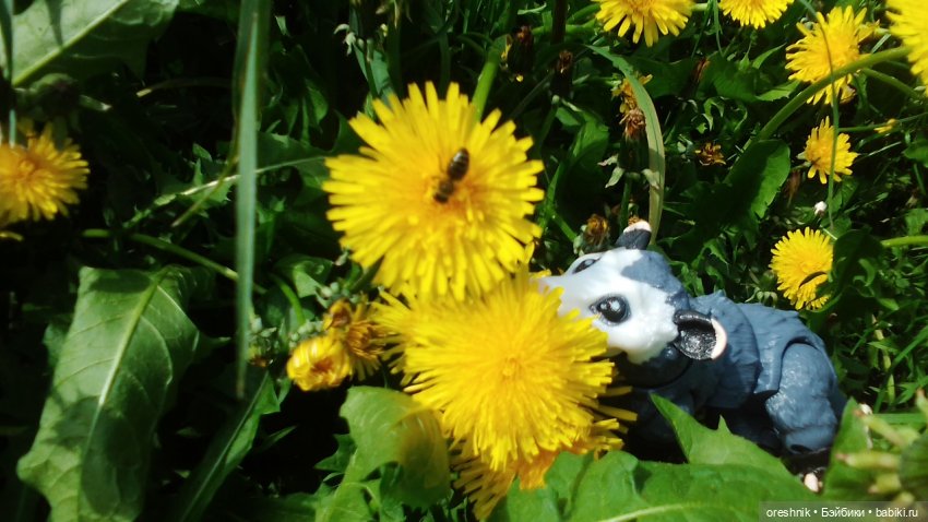 Летний Опоссум☀️☀️☀️ | Бэйбики Летний Опоссум☀️☀️☀️ — Интересные игрушки и фигурки (разное): редкие