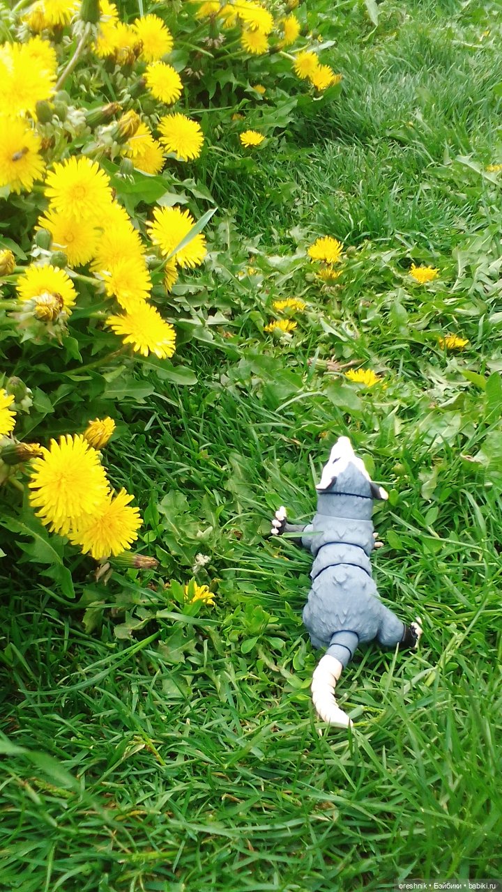 Летний Опоссум☀️☀️☀️ | Бэйбики Летний Опоссум☀️☀️☀️ — Интересные игрушки и фигурки (разное): редкие