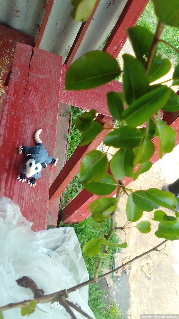 Летний Опоссум☀️☀️☀️ | Бэйбики Летний Опоссум☀️☀️☀️ — Интересные игрушки и фигурки (разное): редкие