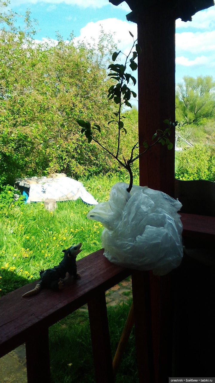 Летний Опоссум☀️☀️☀️ | Бэйбики Летний Опоссум☀️☀️☀️ — Интересные игрушки и фигурки (разное): редкие