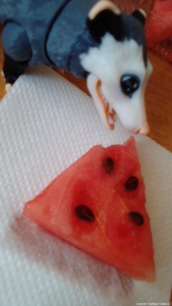 Летний Опоссум☀️☀️☀️ | Бэйбики Летний Опоссум☀️☀️☀️ — Интересные игрушки и фигурки (разное): редкие