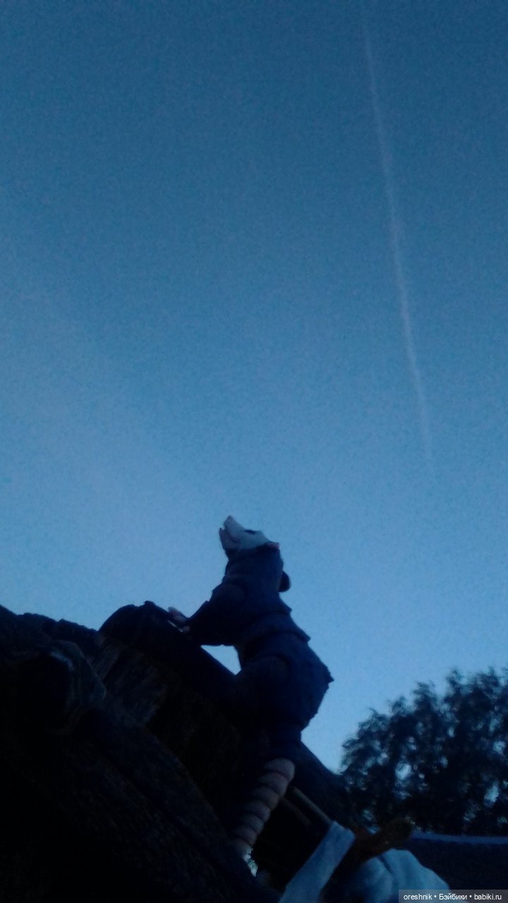 Летний Опоссум☀️☀️☀️ | Бэйбики Летний Опоссум☀️☀️☀️ — Интересные игрушки и фигурки (разное): редкие