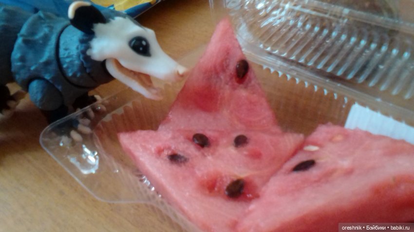 Летний Опоссум☀️☀️☀️ | Бэйбики Летний Опоссум☀️☀️☀️ — Интересные игрушки и фигурки (разное): редкие