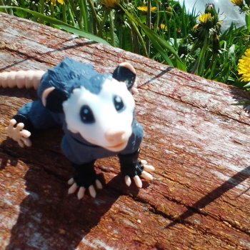 Летний Опоссум☀️☀️☀️