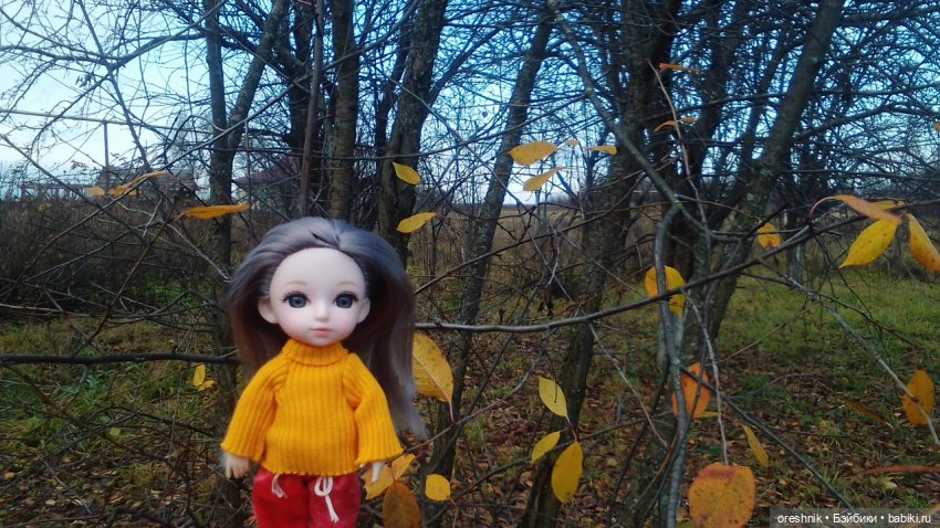 Яна и осень 2025 традиция🍁☀️❤️