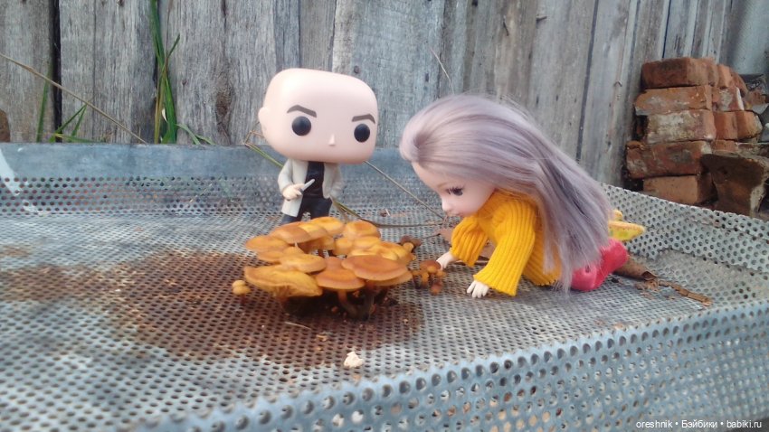 Яна и осень 2025 традиция🍁☀️❤️