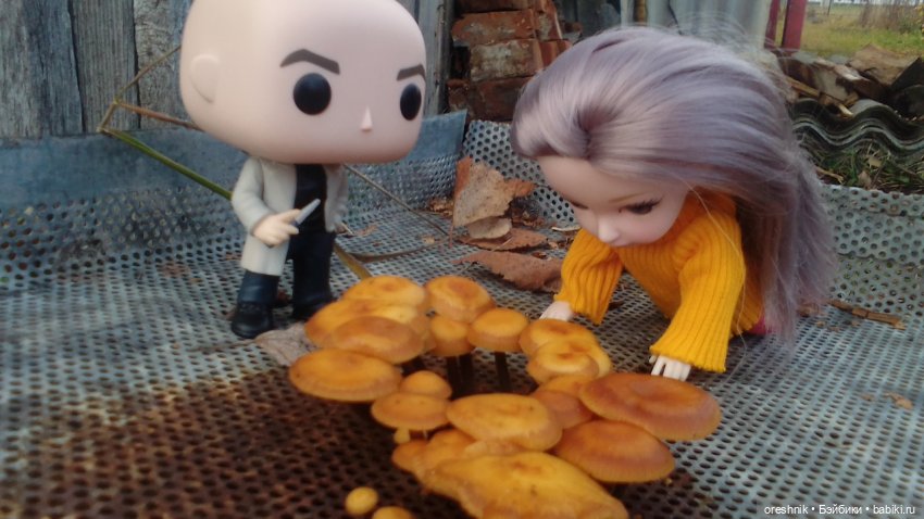 Яна и осень 2025 традиция🍁☀️❤️