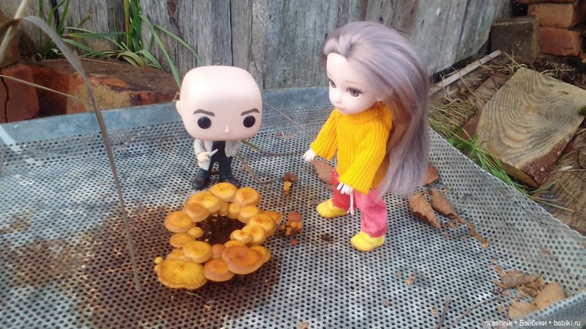 Яна и осень 2025 традиция🍁☀️❤️