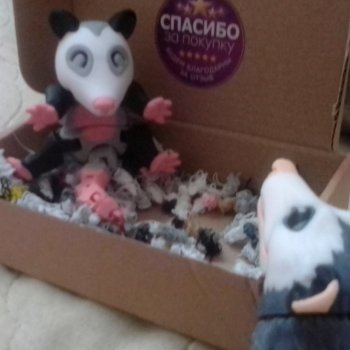 Опоссум и... дети(?)🤔😮🤱