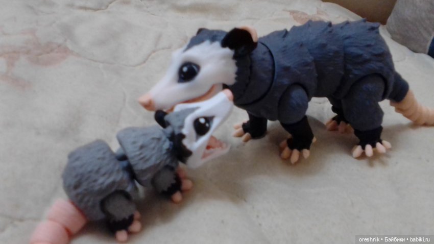 Опоссум и... дети?! 2 🤔😮🤱 (фото 5)