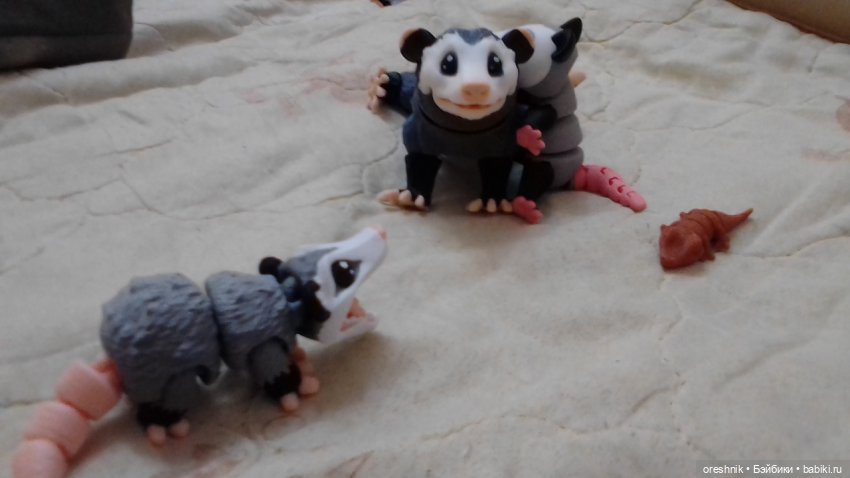 Опоссум и... дети?! 2 🤔😮🤱