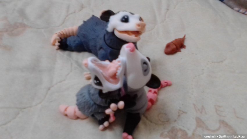 Опоссум и... дети?! 2 🤔😮🤱 (фото 6)