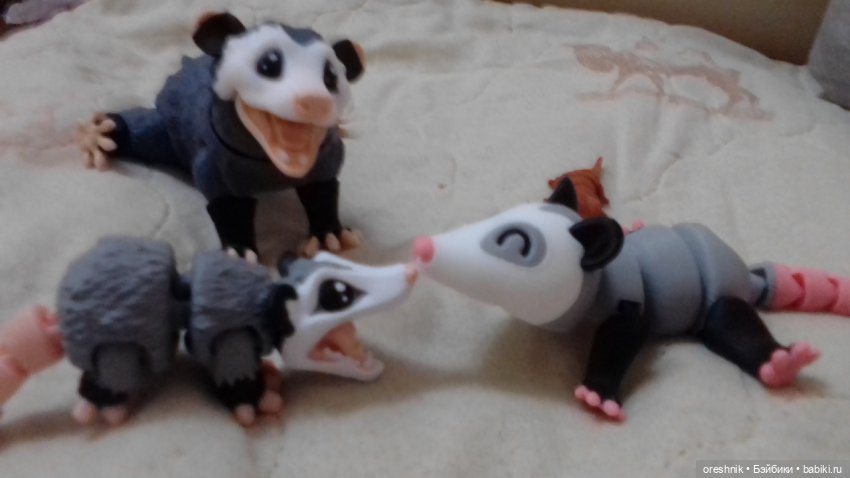 Опоссум и... дети?! 2 🤔😮🤱 (фото 2)