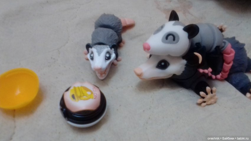 Опоссум и... дети?! 2 🤔😮🤱