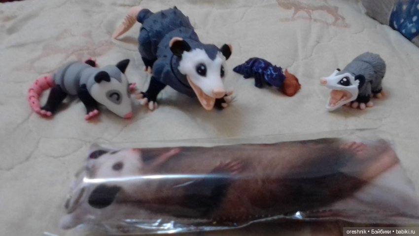 Опоссум и... дети?! 2 🤔😮🤱 (фото 10)