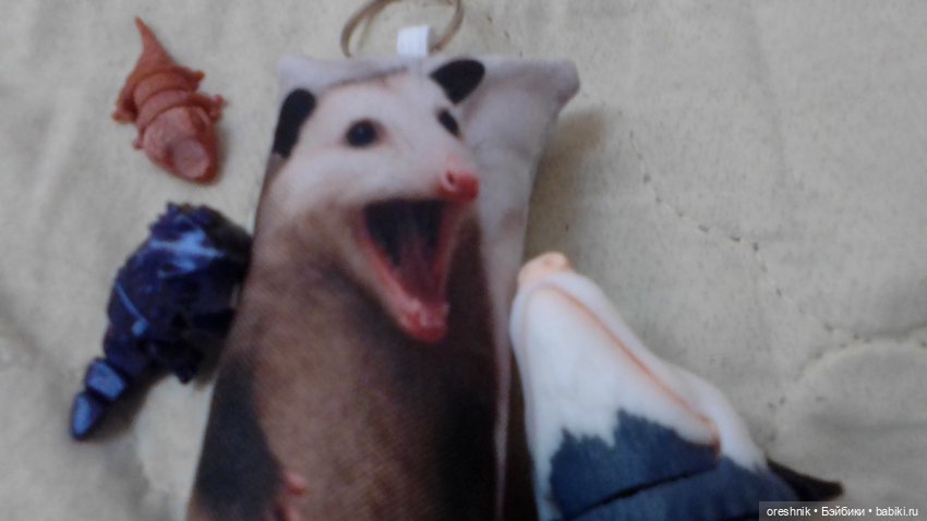 Опоссум и... дети?! 2 🤔😮🤱