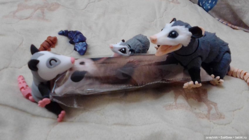 Опоссум и... дети?! 2 🤔😮🤱