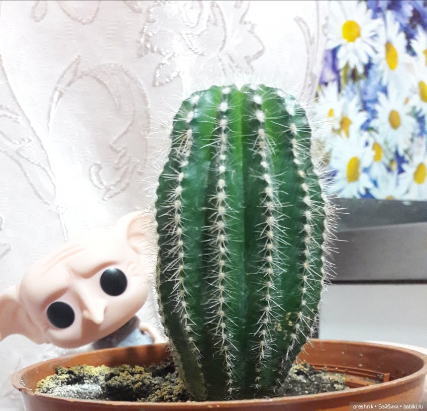 Карманный Добби — Фигурки Funko POP (Фанко Поп): коллекции (фото 6)