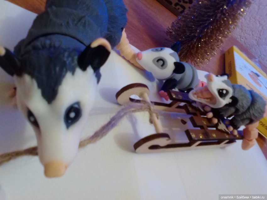 Опоссум. Из жизни опоссумов❤️ (фото 2)