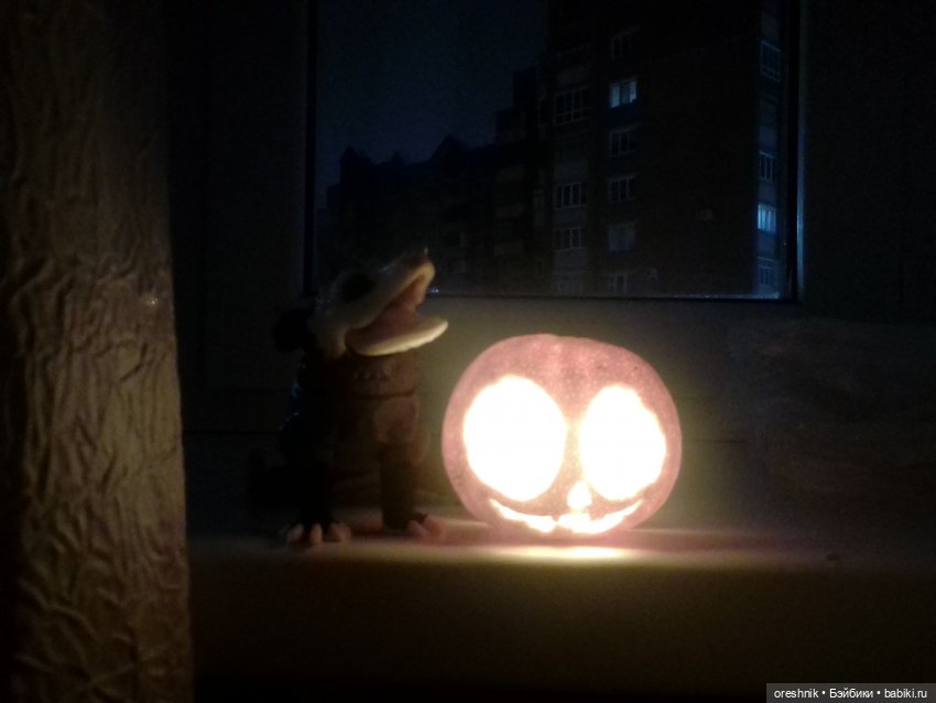 Опоссум. Из жизни опоссумов❤️