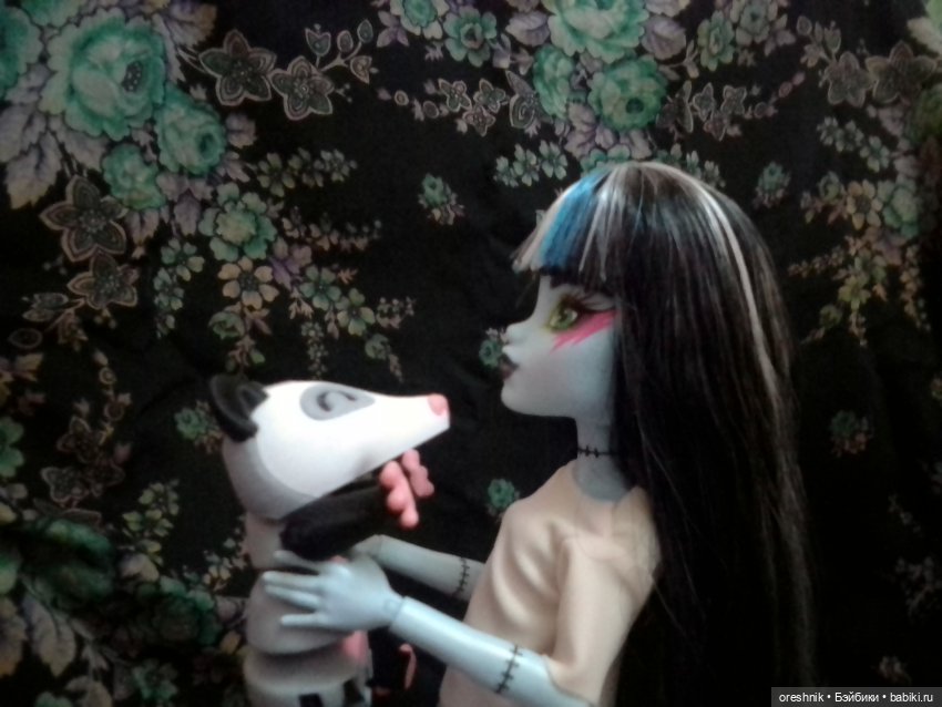 Опоссум. Из жизни опоссумов❤️ (фото 6)