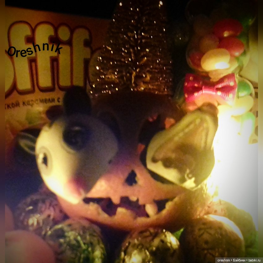 Опоссум. Из жизни опоссумов❤️