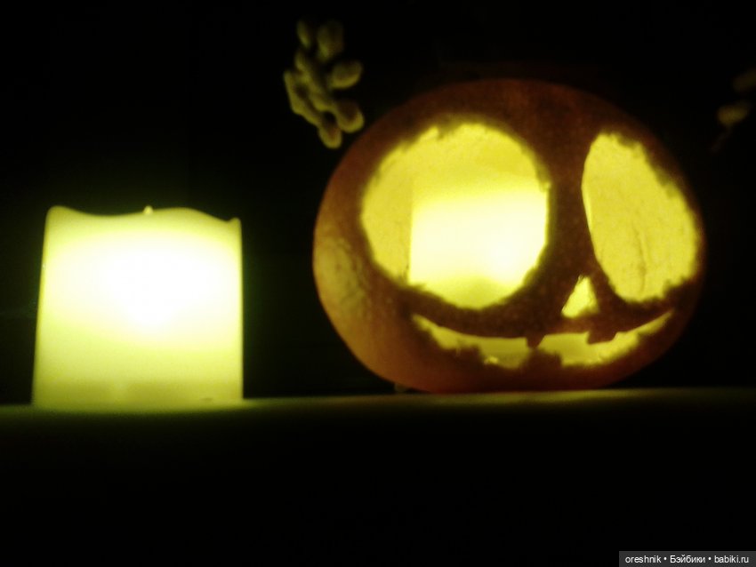 Опоссум. Из жизни опоссумов❤️