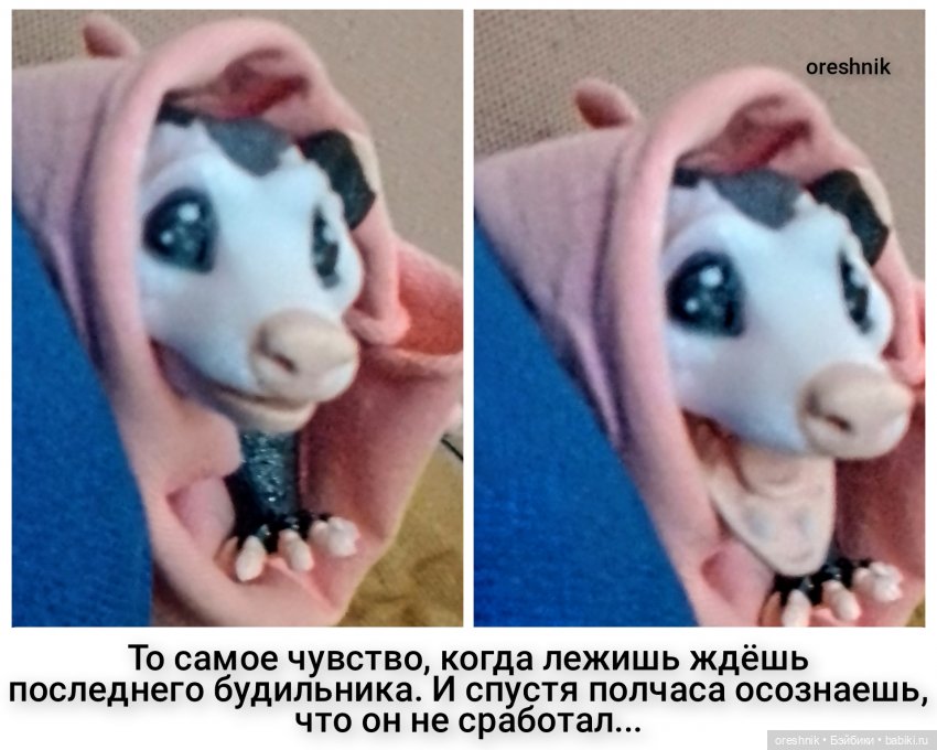 Опоссум. Из жизни опоссумов❤️