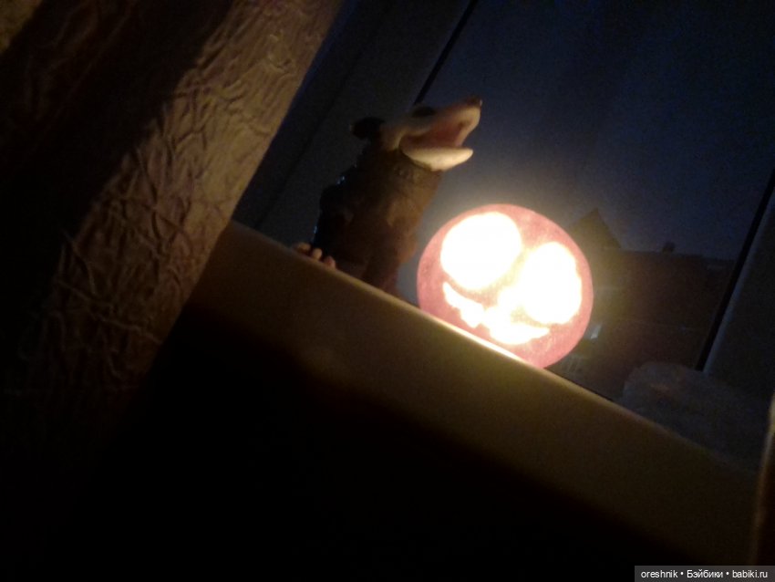 Опоссум. Из жизни опоссумов❤️