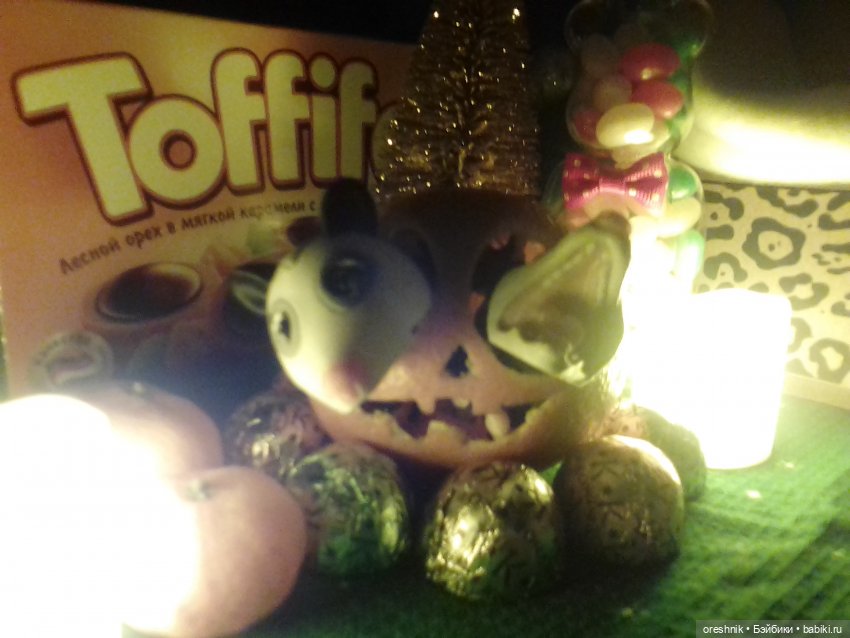 Опоссум. Из жизни опоссумов❤️