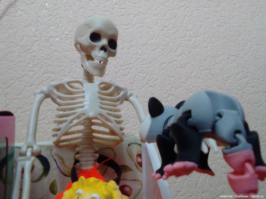 Опоссум. Из жизни опоссумов❤️ (фото 4)