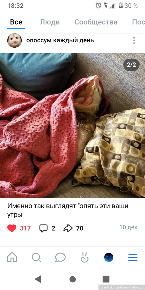Опоссум. Из жизни опоссумов❤️