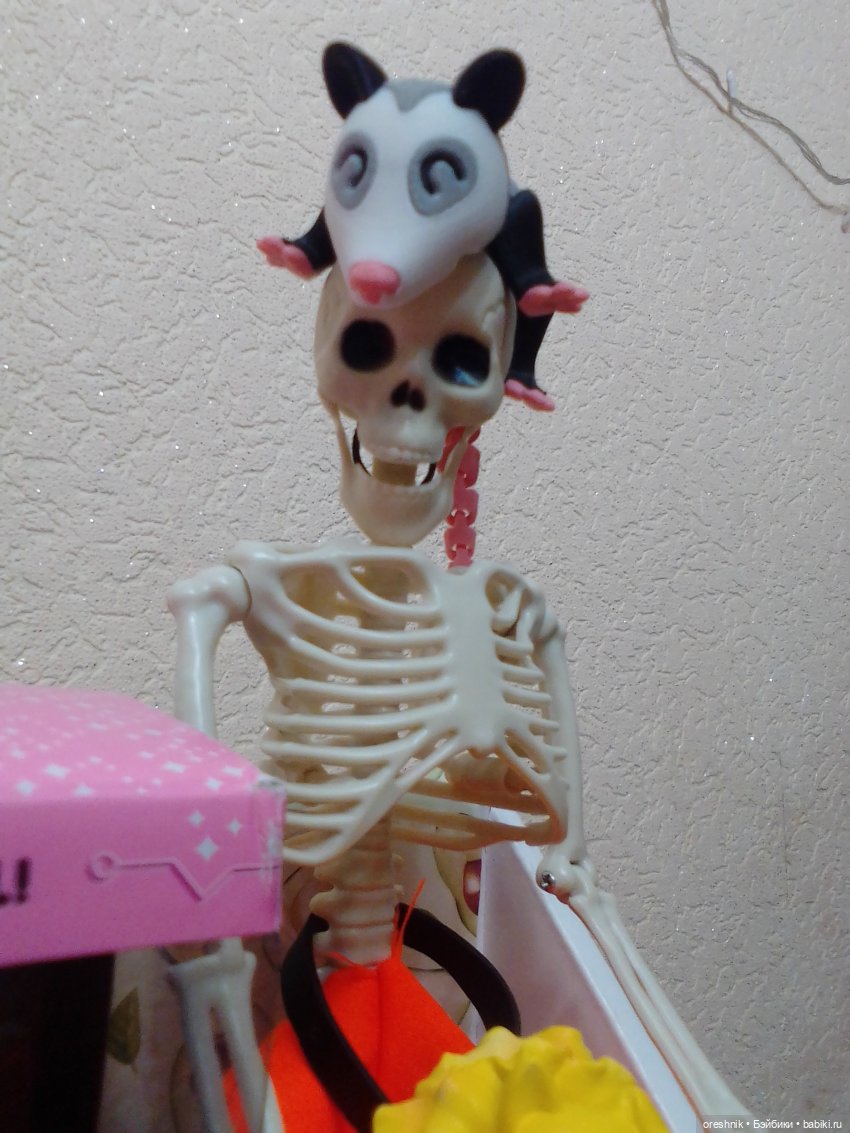 Опоссум. Из жизни опоссумов❤️ (фото 5)