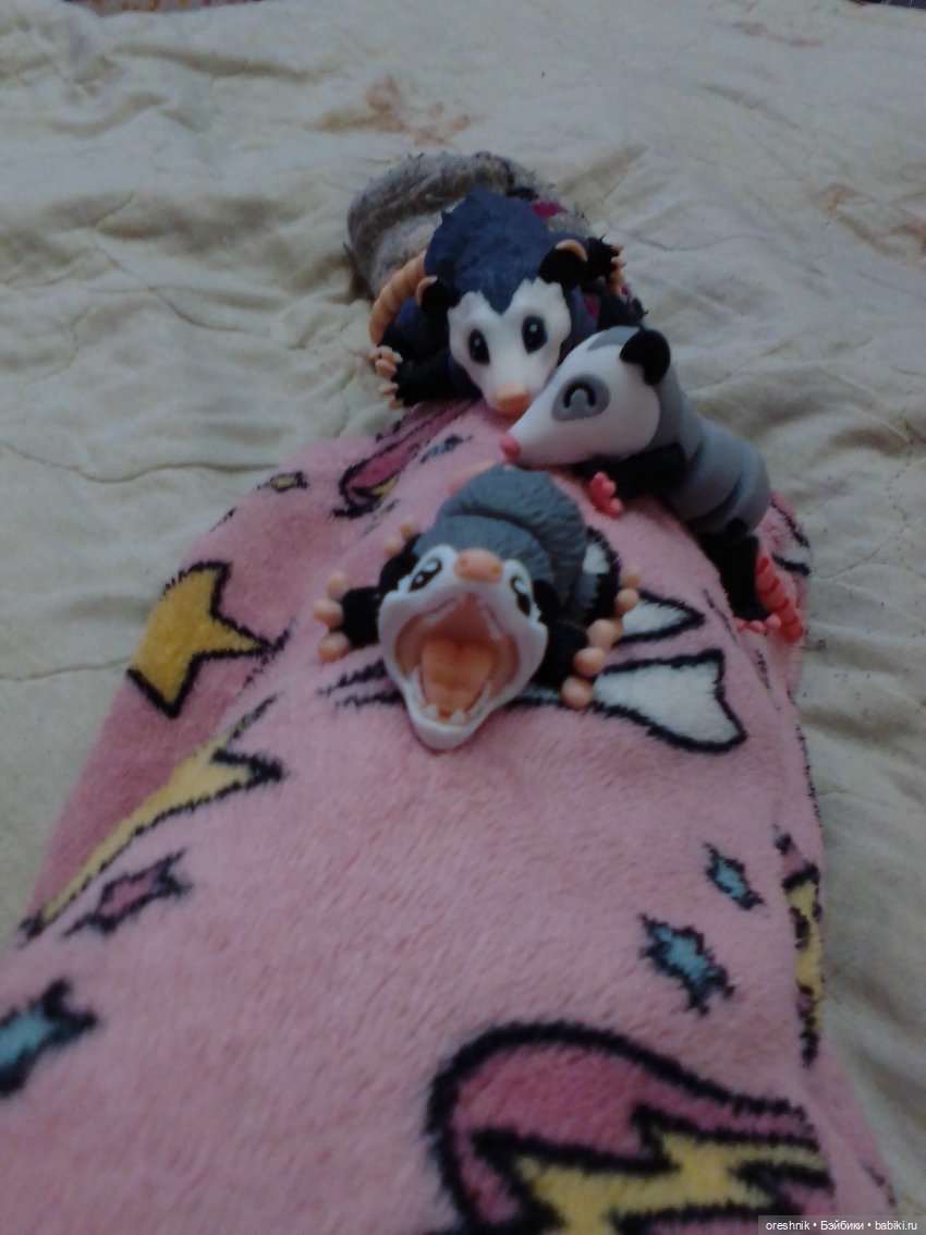 Опоссум. Из жизни опоссумов❤️ (фото 3)