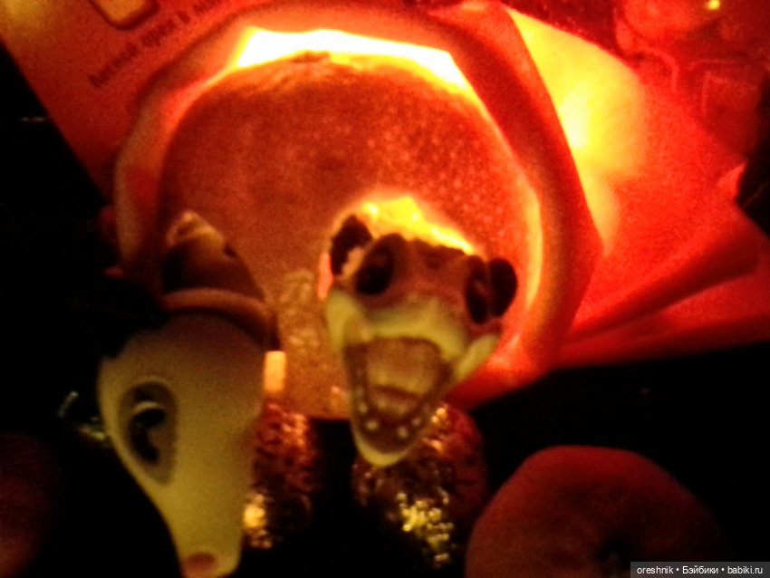 Опоссум. Из жизни опоссумов❤️