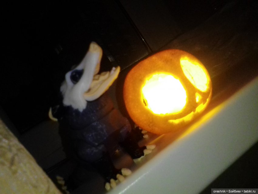 Опоссум. Из жизни опоссумов❤️